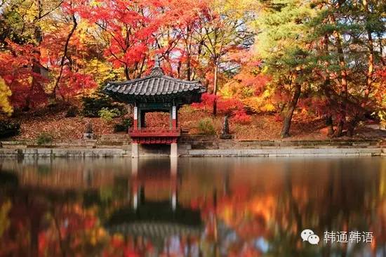 秋天去韩国，这些地方不看后悔哦~ 上集