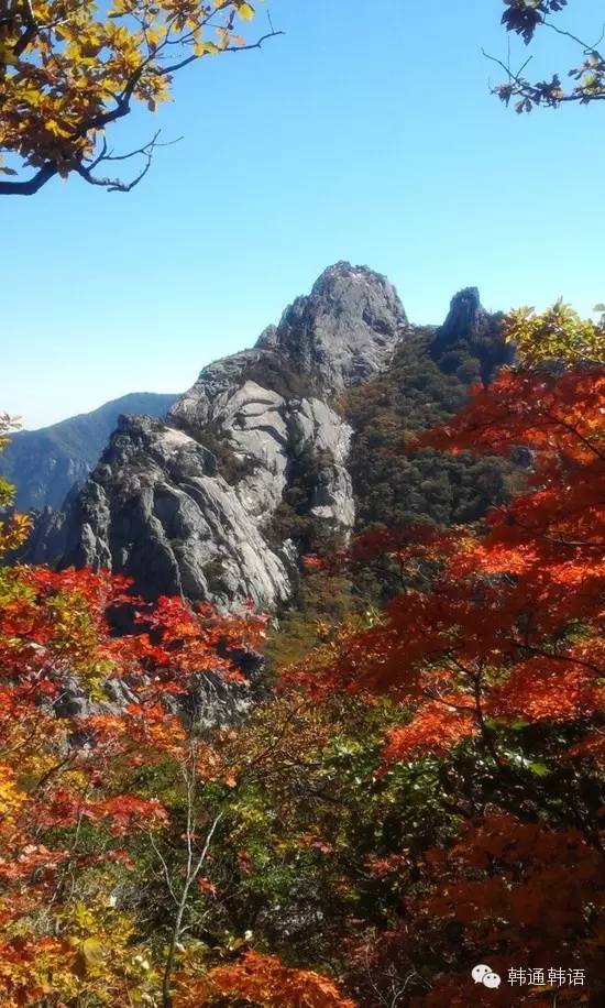 秋天去韩国，这些地方不看后悔哦~ 下集