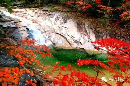 秋天去韩国，这些地方不看后悔哦~ 下集