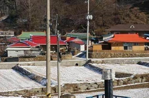 揭开韩国人真实生活：餐桌主力是泡菜韩剧忽悠人