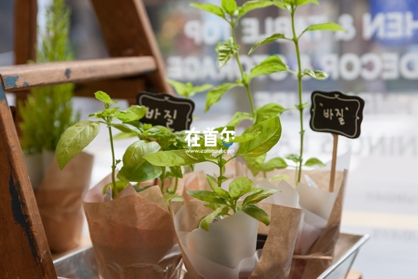 JAJU 生活用品