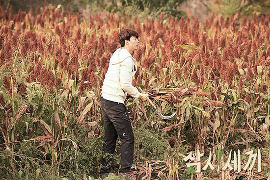 觉得都市生活累吗?来看韩国型男在乡下砍柴磨咖啡吧